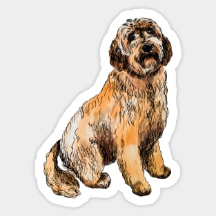 labradoodle Sticker